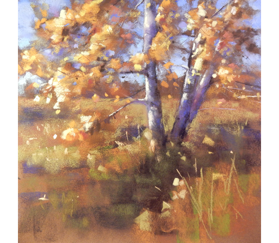 "Dappled" - Deborah Henderson